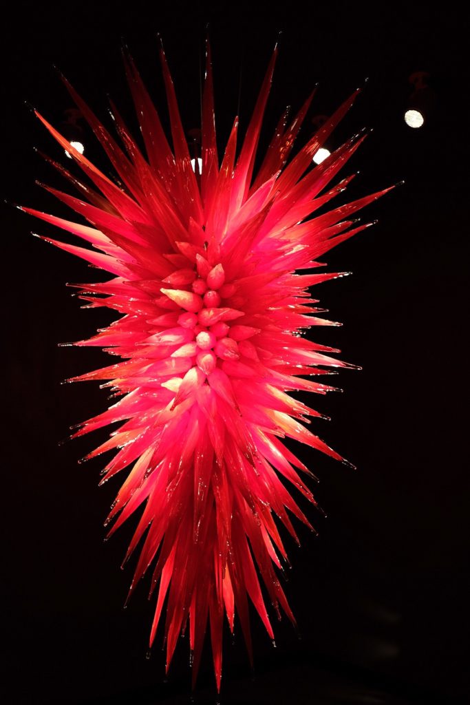 Chihuly's Ruby Red Chandelier 